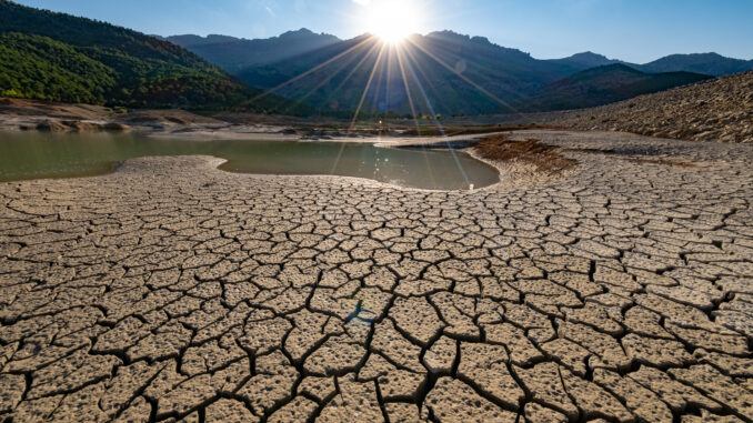 Desertificazione bancaria