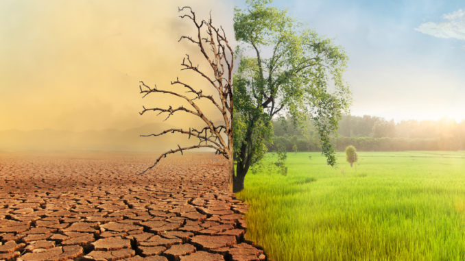 Cambiamento climatico