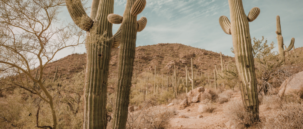 Desertificazione bancaria